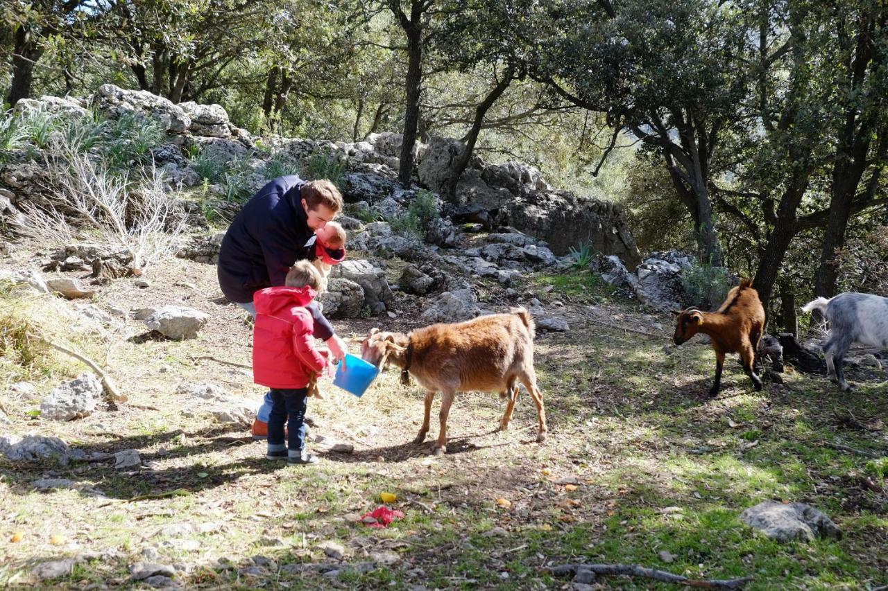 Bauernhof Son Alzines Santuari de Santa Maria de Lluc