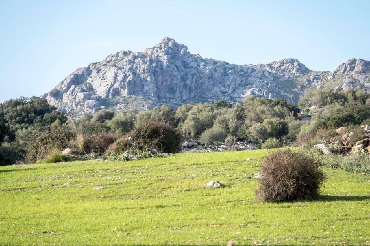 Son Alzines Bauernhof Santuari de Santa Maria de Lluc